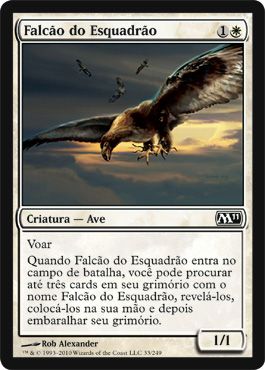 Falcão do Esquadrão  (Squadron Hawk)